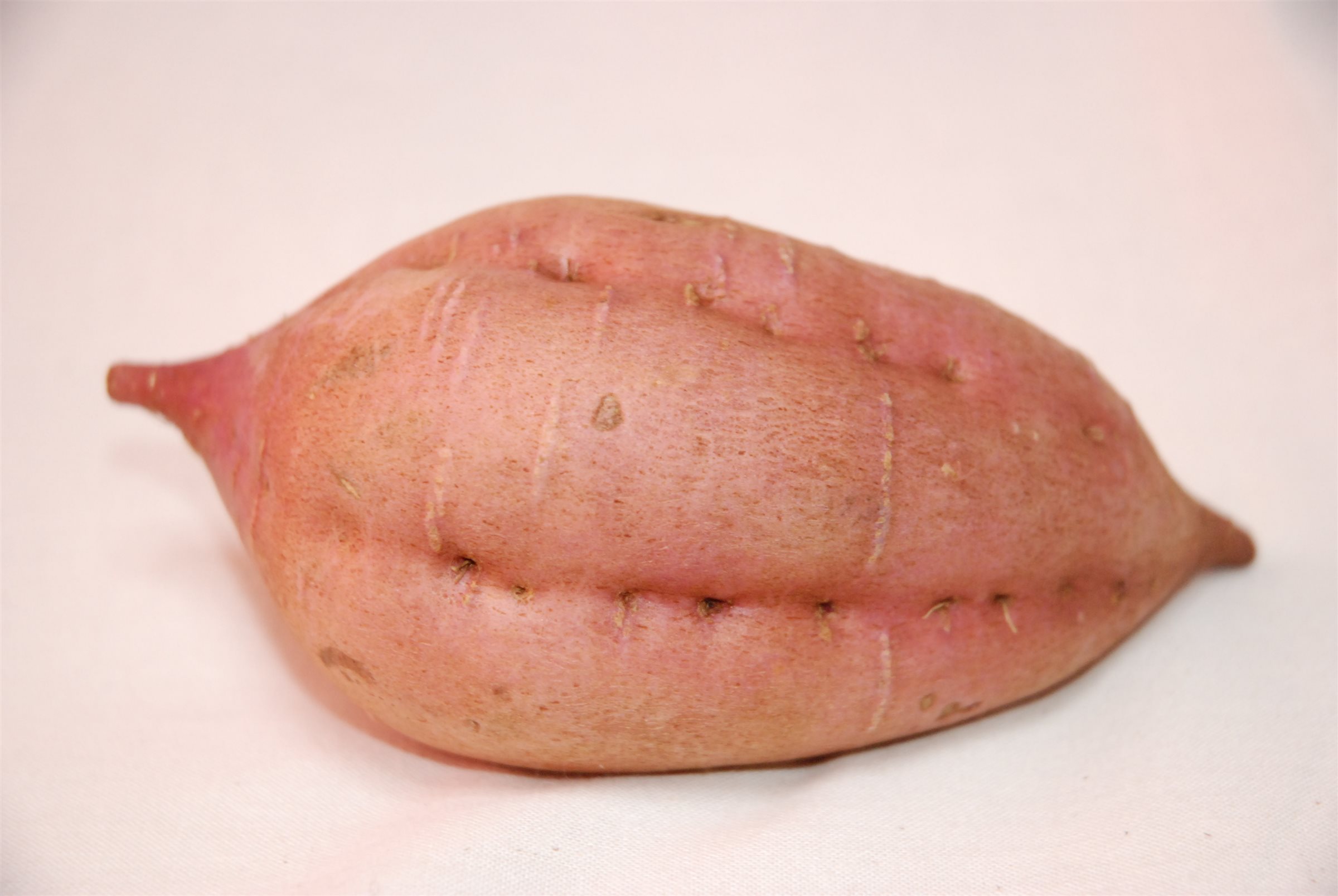 さつまいも　sweet potato