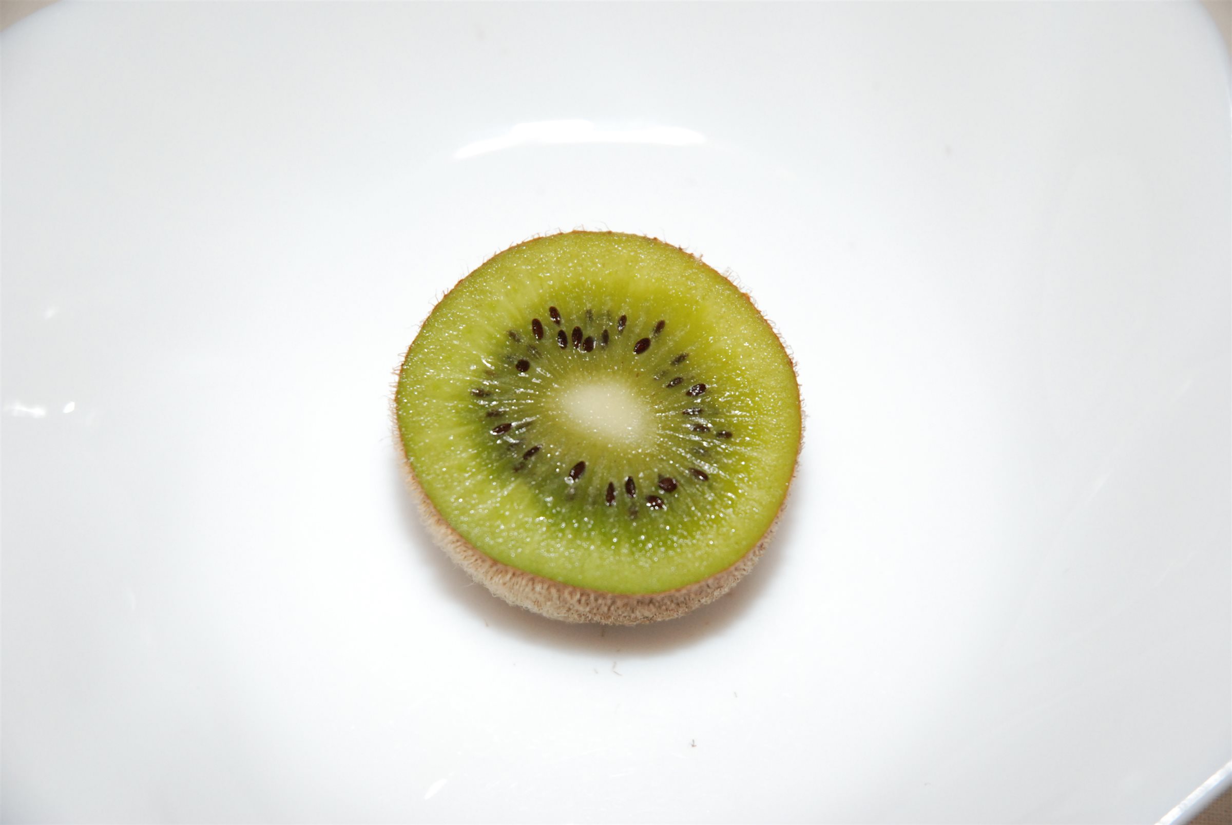 キウイフルーツ　kiwi fruit